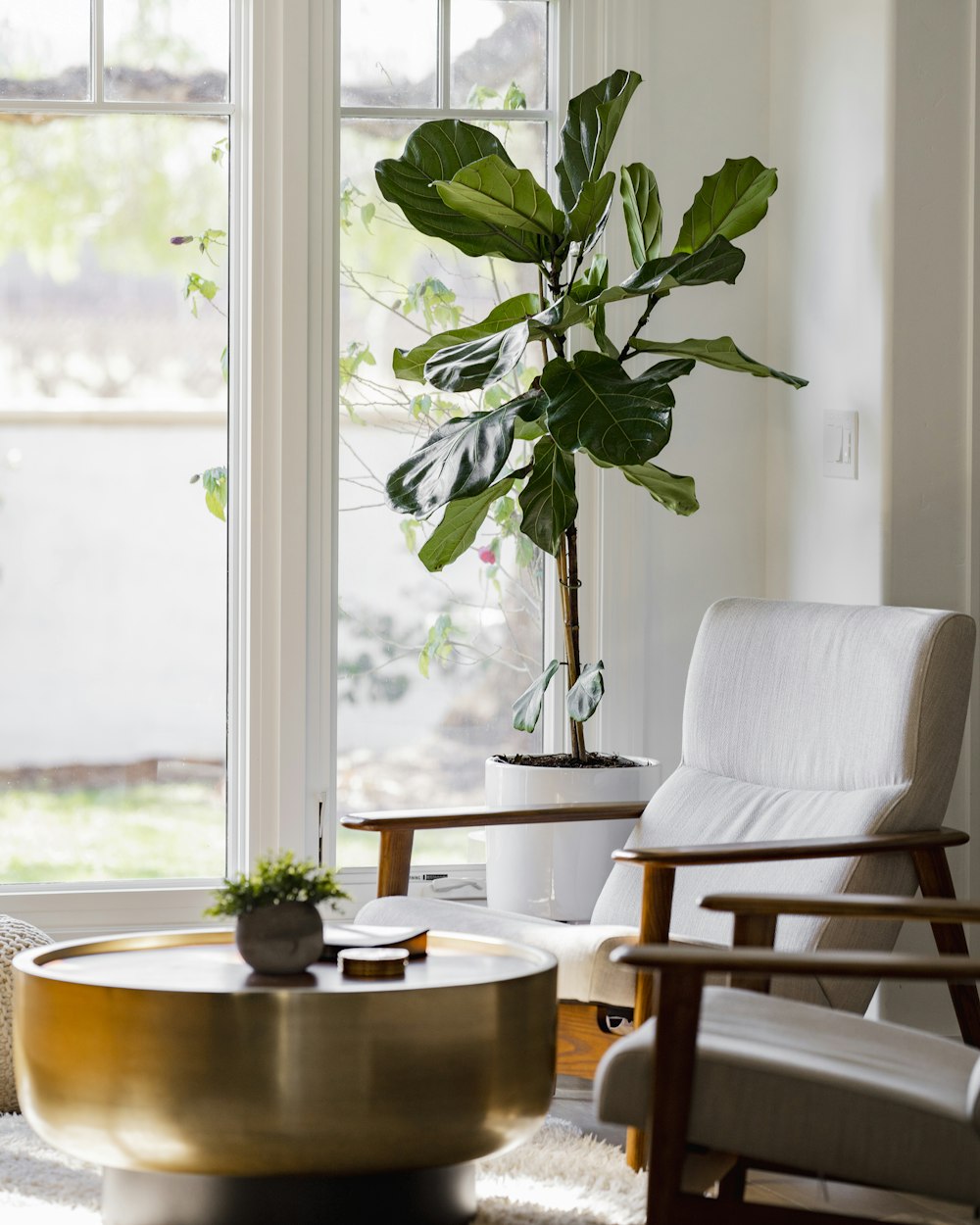 Orbit Coffee Table — a living room with a low table and a plant