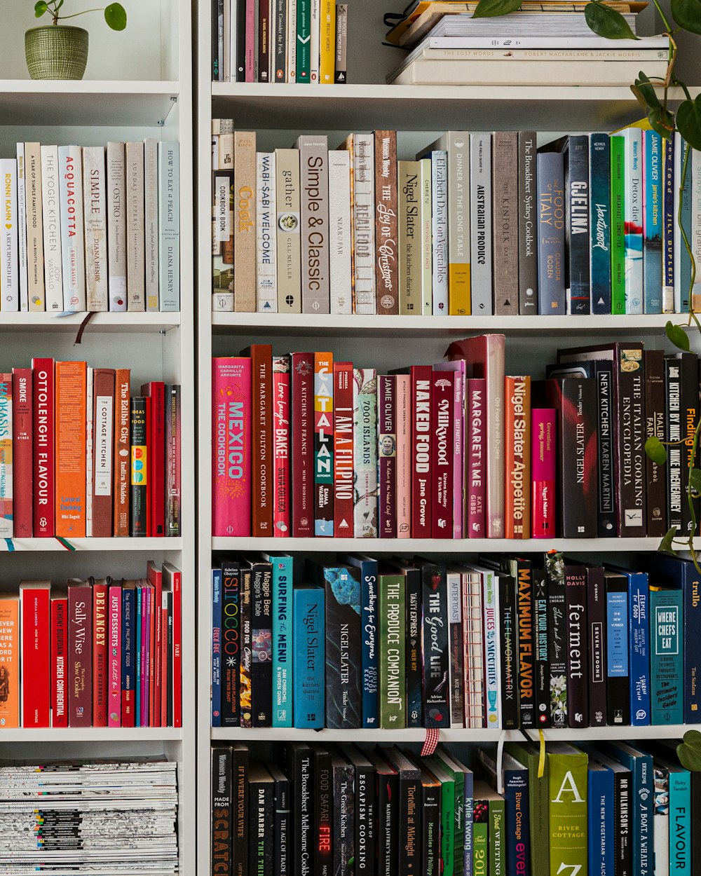 Strut Shelving Unit — a white shelf holding books